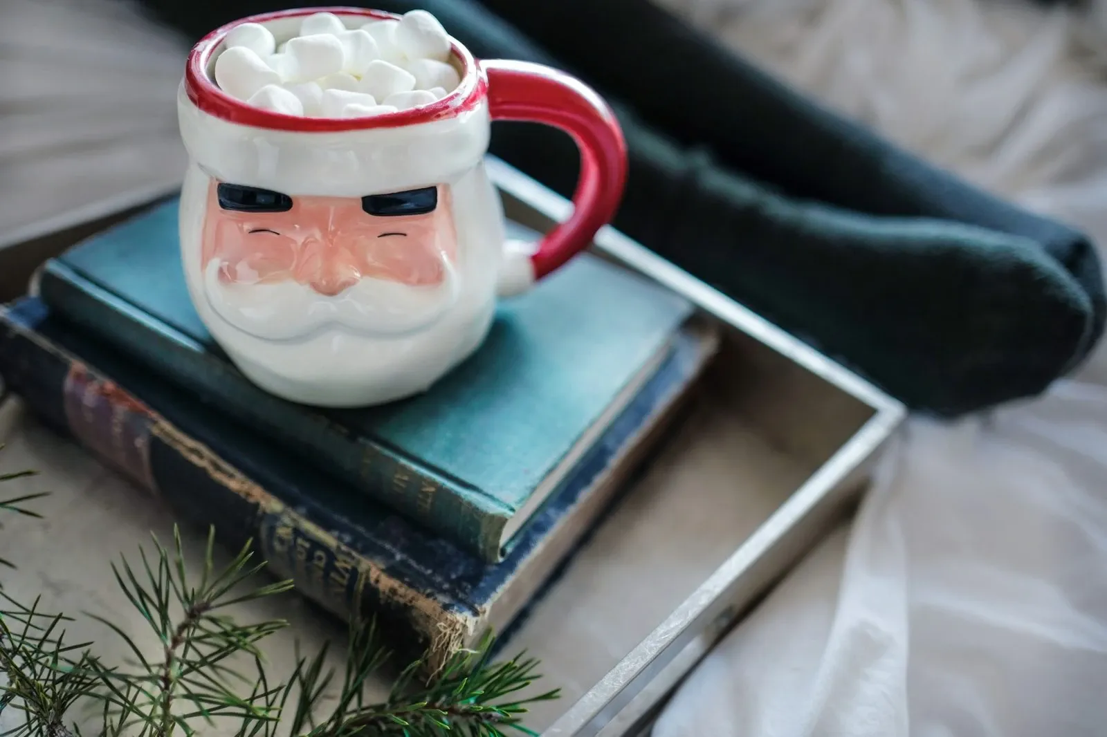Santa face mug filled with whipped cream and marshmallows on a stack of books